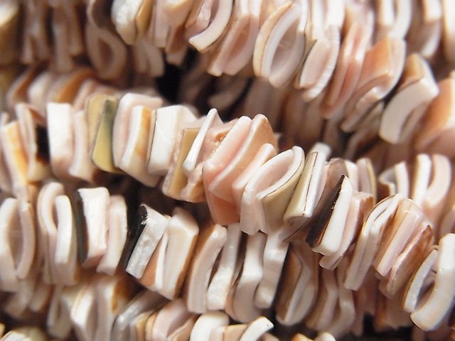 Mother of Pearl (Shell Beads) Pearl & Shell Beads