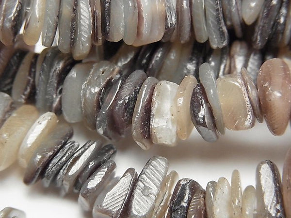 Mother of Pearl (Shell Beads) Pearl & Shell Beads