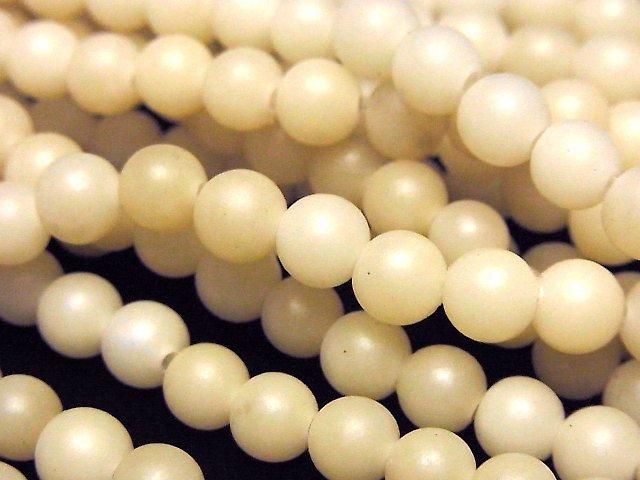 Palm Tree Semi Round 6-7mm 1strand beads (aprx.15inch/38cm)
