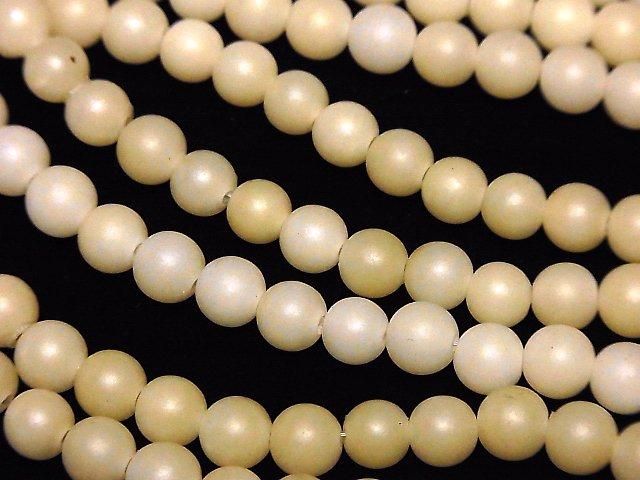 Palm Tree Semi Round 6-7mm 1strand beads (aprx.15inch/38cm)