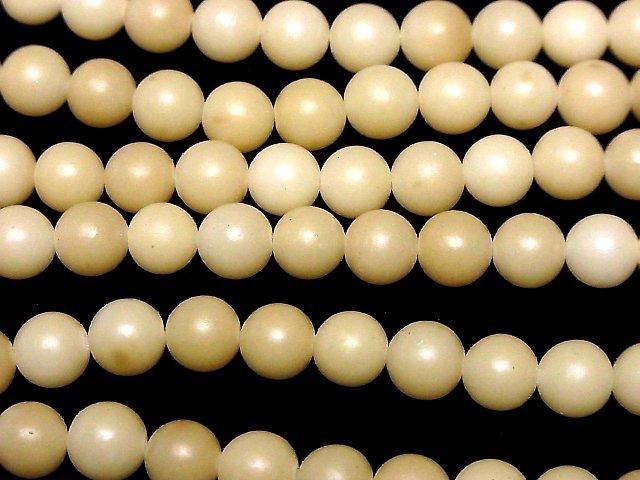 Palm Tree Semi Round 10mm 1strand beads (aprx.15inch/37cm)