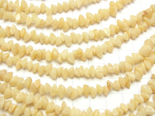 1strand $2.79! Palm tree Chips (Small Nugget) 1strand beads (aprx.14inch / 37cm)