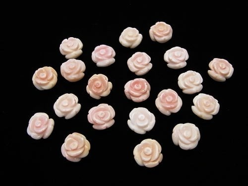 [Video] Queen Conch Shell AAA Rose 14 mm [Drilled Hole] 2 pcs $7.79!