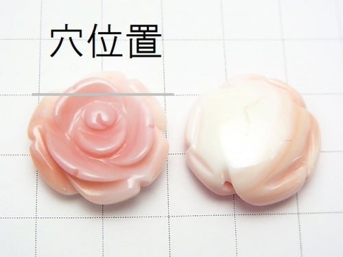 [Video] Queen Conch Shell AAA - AAA - Rose 20 mm [Top] 1 pc $7.79!