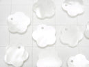 [Video] High quality White Shell AAA Flower 10mm 3pcs $2.79!