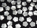 [Video] High quality White Shell AAA Flower 10mm 3pcs $2.79!