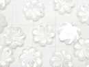 [Video] High Quality White Shell (Silver-lip Oyster)AAA Flower [8mm][10mm][12mm] 2pcs