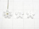 [Video] High Quality White Shell (Silver-lip Oyster) AAA Flower [8mm][10mm] Center Hole 4pcs