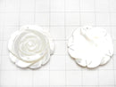 1pc $5.79 White Shell (Silver-lip Oyster) AAA Rose 30mm 1pc