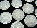 [Video] 1pc $5.79 White Shell (Silver-lip Oyster) AAA Rose 30mm, 40mm 2 holes 1pc