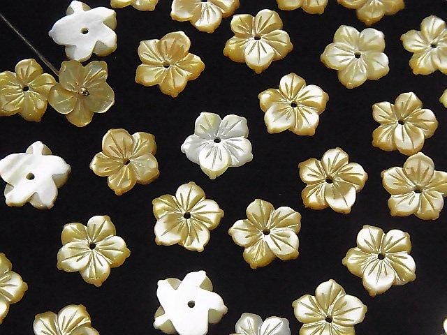 [Video] High-Quality Yellow Shell AAA Flower [6mm][8mm][10mm] Center Hole 4pcs
