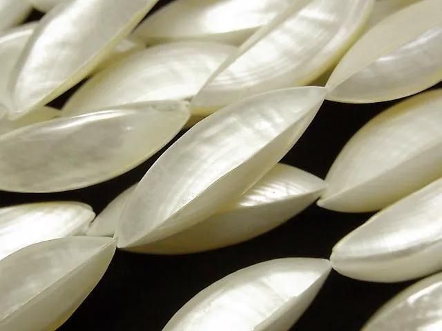 [Video] Troca Shell Garlic Shape 30mm 1-strand beads (approx. 13 inches/33 cm)