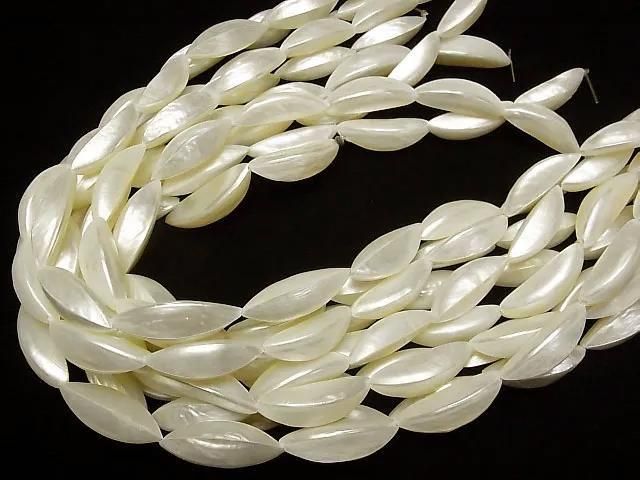 [Video] Troca Shell Garlic Shape 30mm 1-strand beads (approx. 13 inches/33 cm)