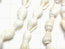 Spiral Shell beads Vertical Hole 1strand beads (aprx.57inch / 146cm)
