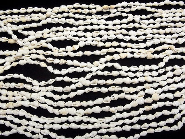 Spiral Shell beads Vertical Hole 1strand beads (aprx.57inch / 146cm)