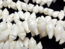 Mother of Pearl (Shell Beads) Pearl & Shell Beads