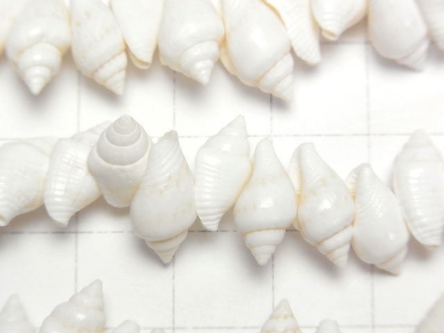 [Video] Conch beads 1strand beads (aprx.15inch/38cm)