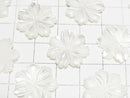 Mother of Pearl MOP AAA White Flower 20mm 2pcs