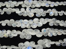 [Video] High Quality Rainbow Moonstone AA ++ Chestnut Faceted Briolette 1strand beads (aprx.7inch / 17cm)