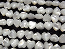 Mother of Pearl (Shell Beads) Pearl & Shell Beads