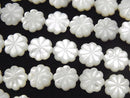 Mother of Pearl (Shell Beads) Pearl & Shell Beads