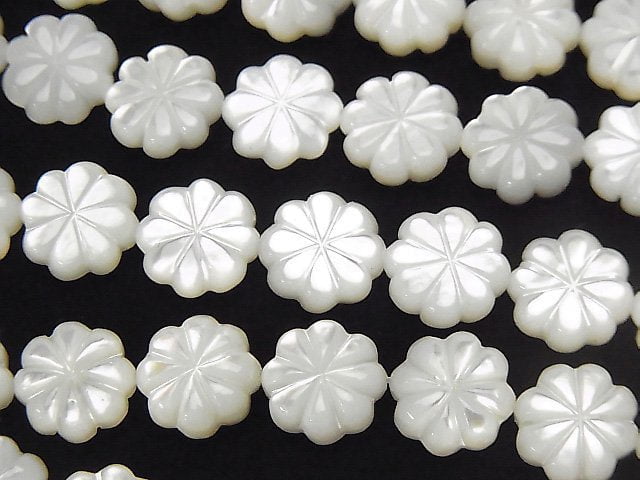 Mother of Pearl (Shell Beads) Pearl & Shell Beads