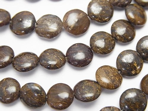 Bronzite, Coin Gemstone Beads