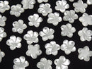 [Video] High quality White Shell AAA Flower [12 mm] [14 mm] 2 pcs $2.79