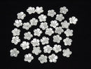 [Video] High quality White Shell AAA Flower [12 mm] [14 mm] 2 pcs $2.79