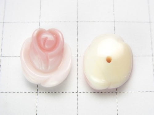 [Video] Queen Conch Shell AAA Rose 14 x 12 mm [Half Drilled Hole] 1pc $3.79!