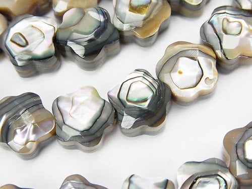 Mother of Pearl (Shell Beads), Star Pearl & Shell Beads