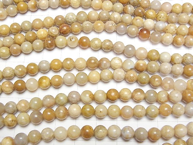 [Video] Fossil Coral  Round 6mm 1strand beads (aprx.15inch/37cm)
