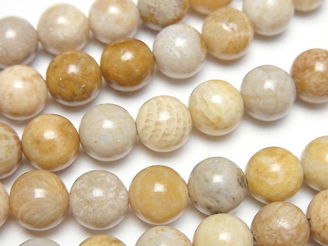 Coral, Round Natural Beads