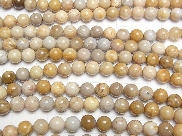 [Video]Fossil Coral Round 8mm 1strand beads (aprx.15inch/37cm)