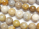 Coral, Round Natural Beads