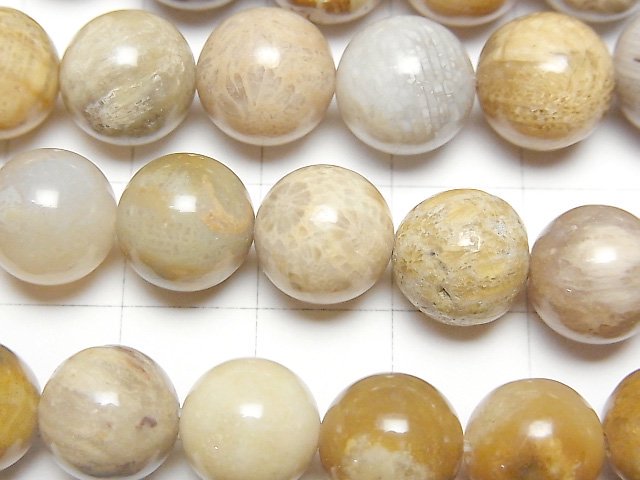 [Video] Fossil Coral  Round 10mm 1strand beads (aprx.15inch/37cm)