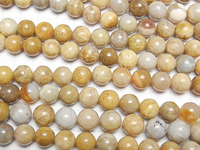 [Video] Fossil Coral  Round 10mm 1strand beads (aprx.15inch/37cm)