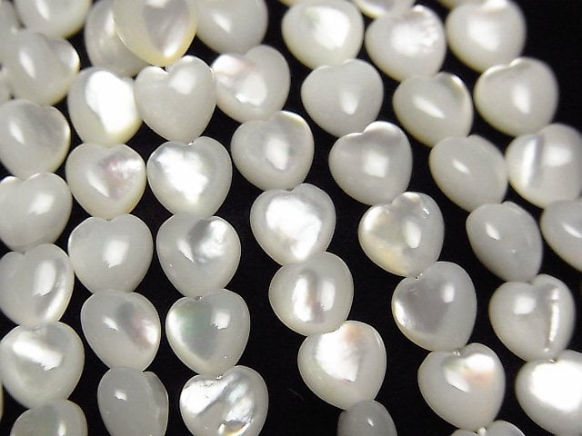 Mother of Pearl (Shell Beads) Pearl & Shell Beads