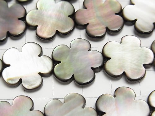 Black Shell AAA Flower motif 18 x 18 x 3 mm 1/4 or 1strand beads (aprx.15 inch / 38 cm)