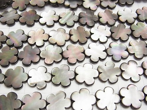 Black Shell AAA Flower motif 18 x 18 x 3 mm 1/4 or 1strand beads (aprx.15 inch / 38 cm)