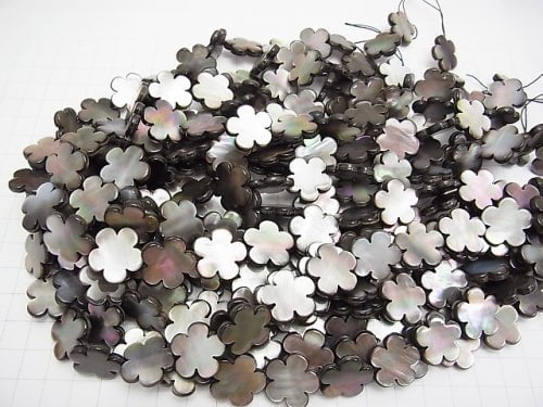 Black Shell AAA Flower motif 18 x 18 x 3 mm 1/4 or 1strand beads (aprx.15 inch / 38 cm)