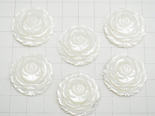 [Video] White Shell (Silver-lip Oyster) AAA Rose 25 mm 1 pc $7.79