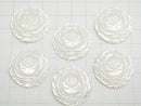 [Video] White Shell (Silver-lip Oyster) AAA Rose 25 mm 1 pc $7.79