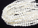 [Video]High Quality White Shell Flower(Faceted )10x10x4mm 1/4 or 1strand beads (aprx.15inch/38cm)