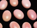 High Quality Queen Conch Shell AAA Oval Cabochon 16x12mm 1pc