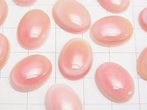 High Quality Queen Conch Shell AAA Oval Cabochon 16x12mm 1pc