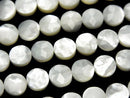 Mother of Pearl (Shell Beads) Pearl & Shell Beads