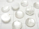 3pcs $7.79! White Shell x Crystal AAA 'Round Faceted Cabochon 8mm 3pcs