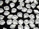 [Video] High Quality White Shell (Silver-lip Oyster) AAA Flower (Petal) 12x10mm 4pcs