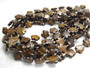 Bronzite Flower 15 x 15 mm half or 1 strand beads (aprx.15 inch / 36 cm)